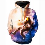 Glorious View Hoodie