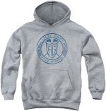 Power Rangers Angel Grove Hs Pullover Hoodie